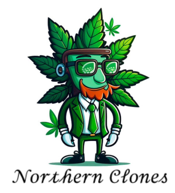 Northern clones 